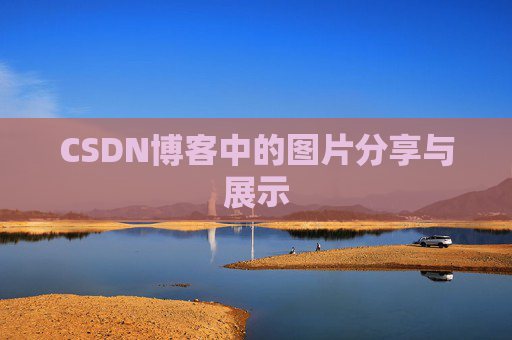 CSDN博客中的图片分享与展示